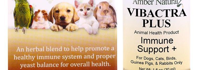 vibactra for dogs